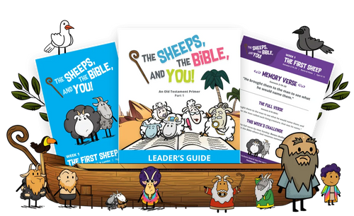 Kids Bible Curriculum
